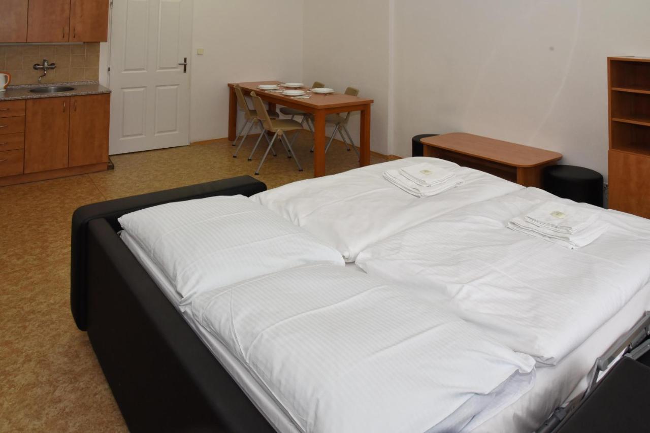 Zamek Racice Hotel Kültér fotó