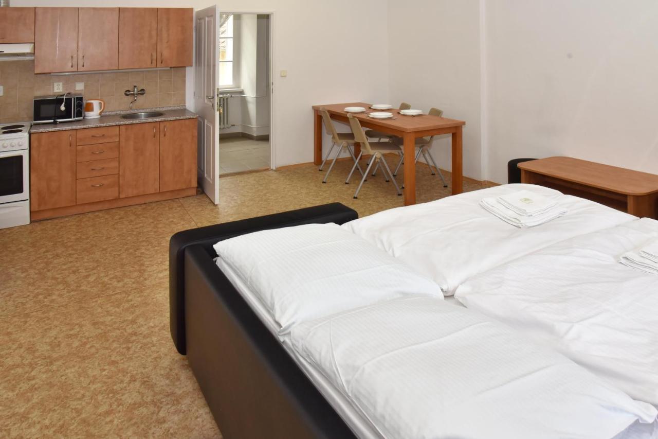 Zamek Racice Hotel Kültér fotó