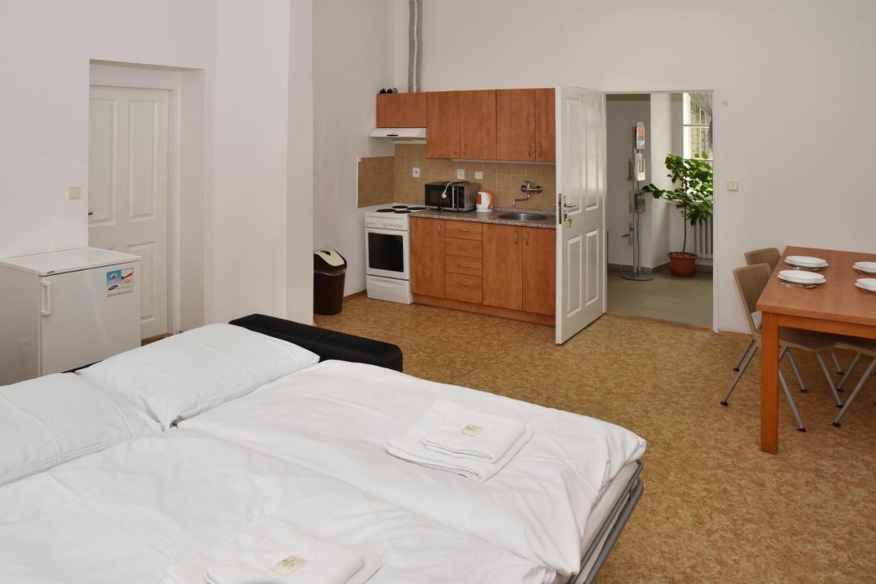 Zamek Racice Hotel Kültér fotó