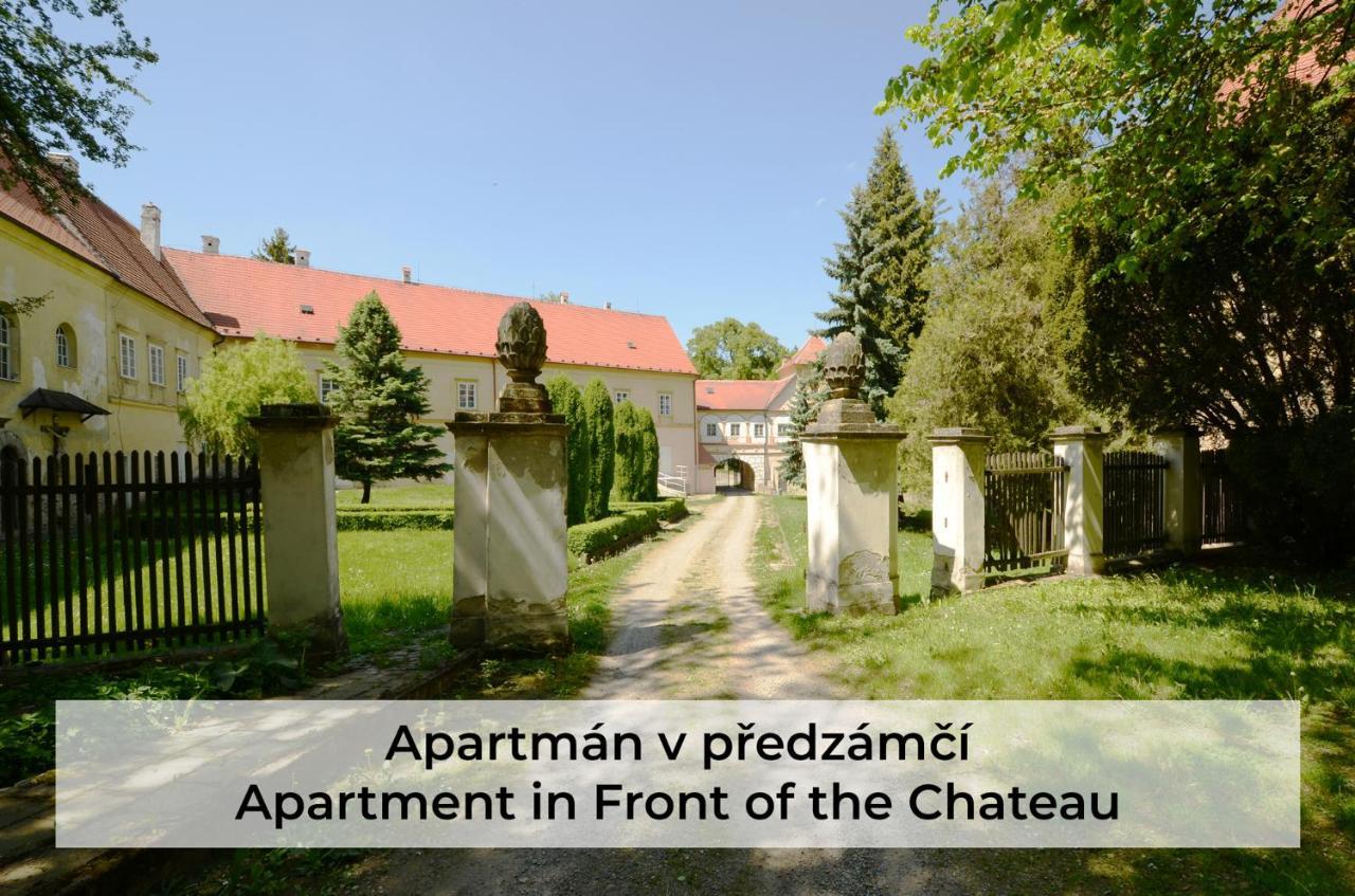 Zamek Racice Hotel Kültér fotó