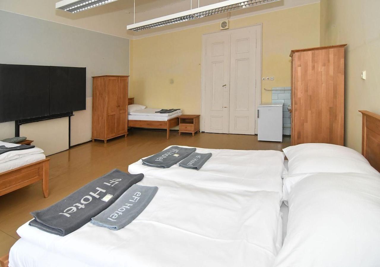 Zamek Racice Hotel Kültér fotó
