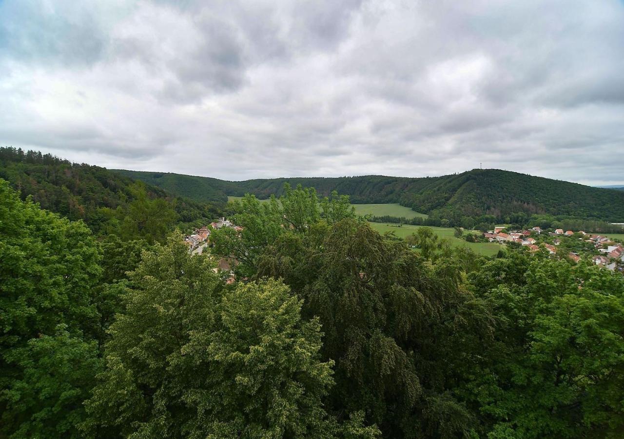 Zamek Racice Hotel Kültér fotó